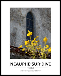 d�tail d'une fen�tre de l'�glise, avec en premier plan une fleur jaune, m�lange nature et patrimoine