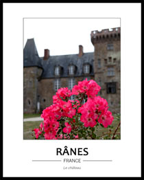 fa�ade du ch�teau floue avec en premier plan un rosier rose