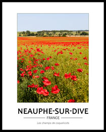 Cliquez pour agrandir Champ rouge de coquelicots dans la campagne normande